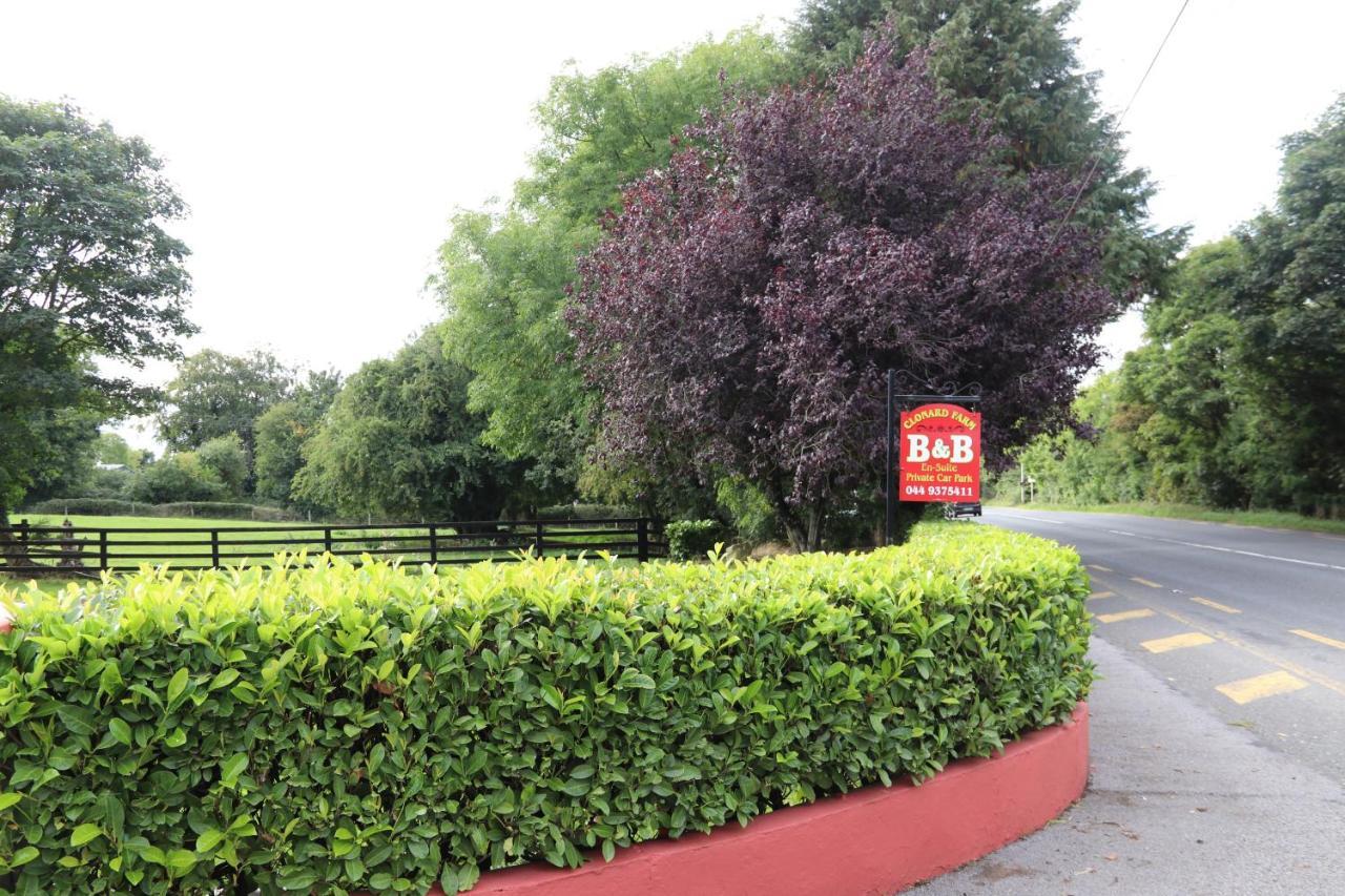 Clonard Farm B&B Eksteriør billede